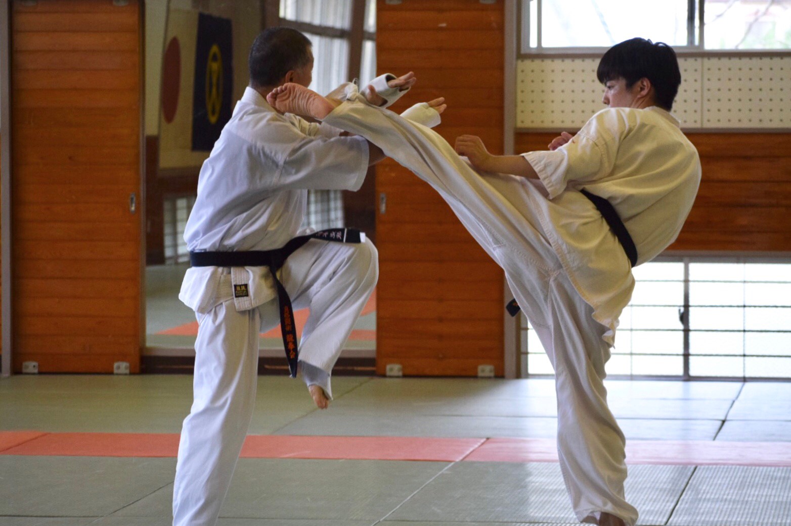 龍拳会 一般部 組手