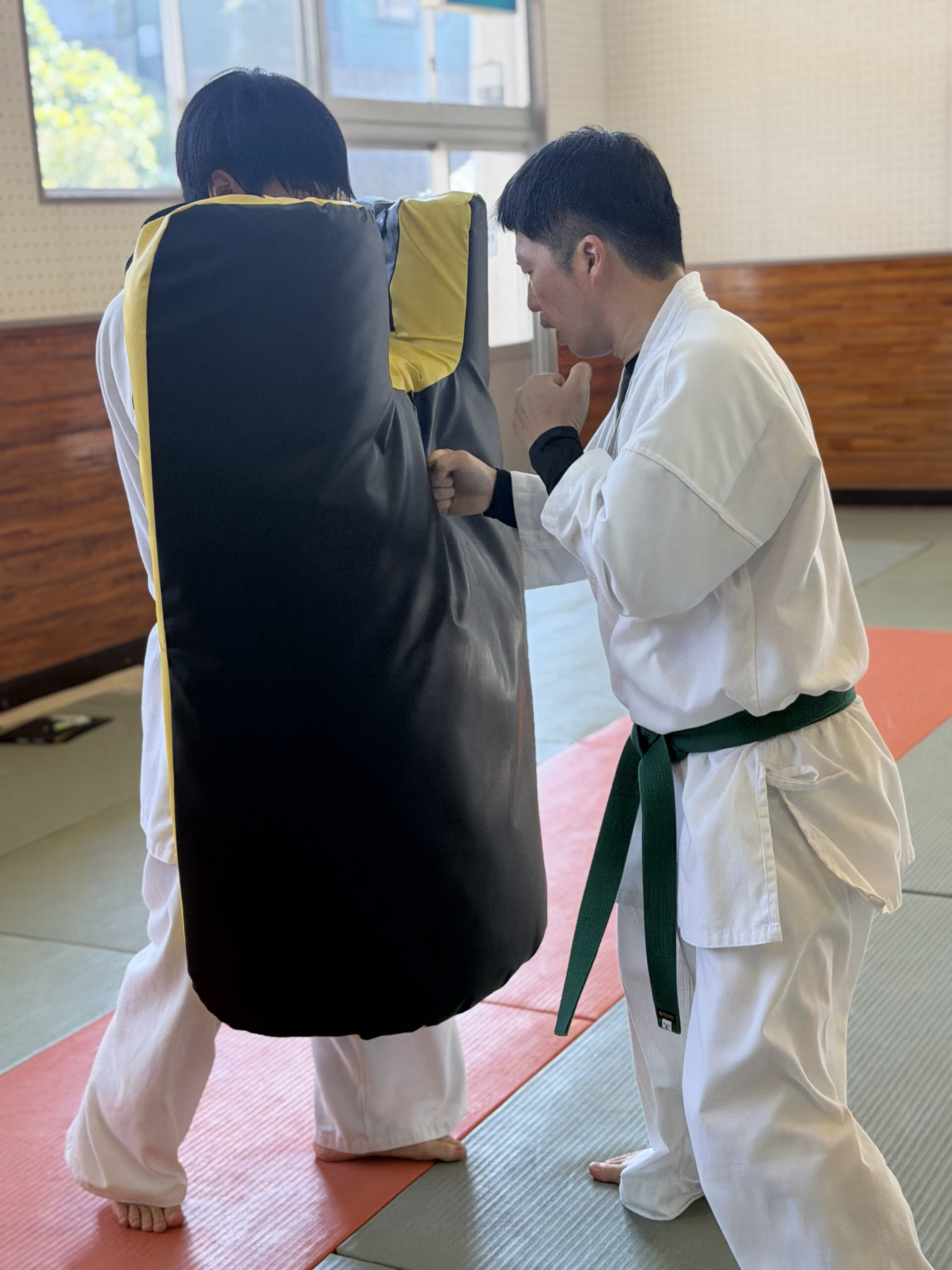 龍拳会 一般部 ミット打ち